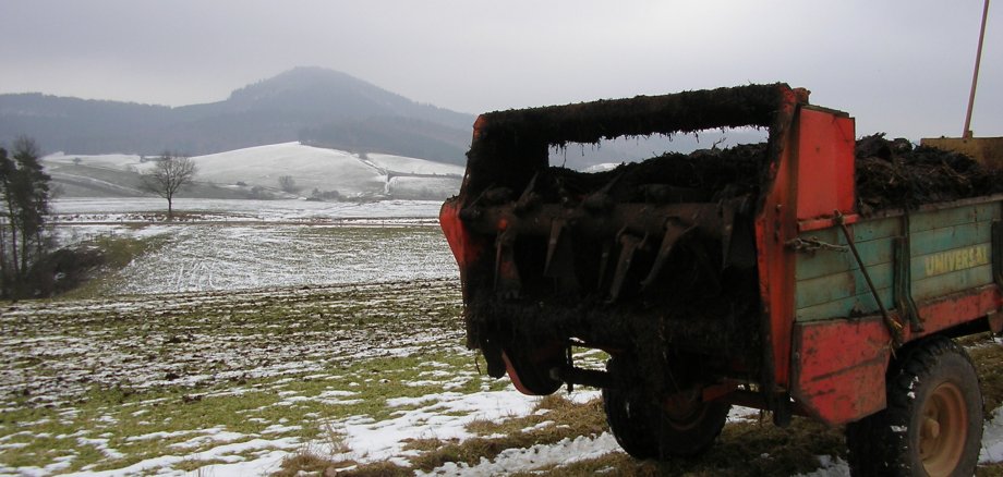 Auf einem Feld steht ein landwirtschaftliches Gerät. Darauf ist Mist gelagert, der auf dem Feld abgelegt wird. Es liegt etwas Schnee und der Himmel ist bewölkt.