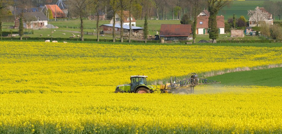Auf dem Bild fährt ein grüner Traktor durch ein gelbes Rapsfeld und verteilt mit seinem Anhänger Pflanzenschutz. Im Hintergrund sieht man Häuser und große, dünne Bäume stehen.