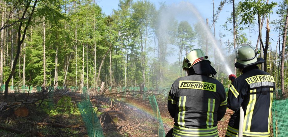 Rückansicht zweier Feuerwehrleute die gemeinsam mit einem Wasserstrahlrohr einen Wald bewässern während einer Waldbrandübung. Im Hintergrund ist Mischmald zu sehen.